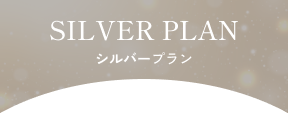 シルバープラン